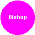 Bishop