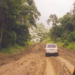 The Road to Cape Rodney